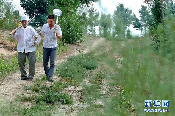 一位九旬老黨員的治沙情結