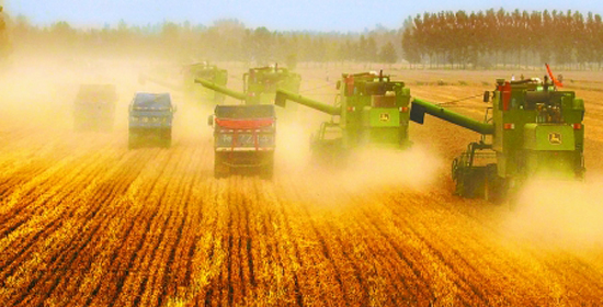 秋糧豐收有基礎 全年有望“九連增”
