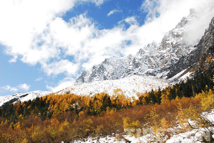 西藏林芝主打旅游生態牌 將成經濟發展主導產業