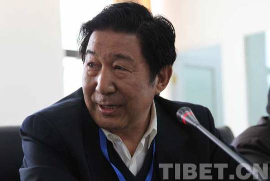 共論藏文化保護:海內(nèi)外專家學(xué)者思想碰撞在拉薩