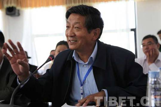 共論藏文化保護:海內(nèi)外專家學(xué)者思想碰撞在拉薩