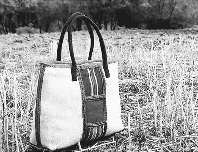 向青草更青處——西藏林芝傳統工藝文化的傳承與發展