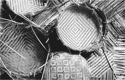 向青草更青處——西藏林芝傳統工藝文化的傳承與發展