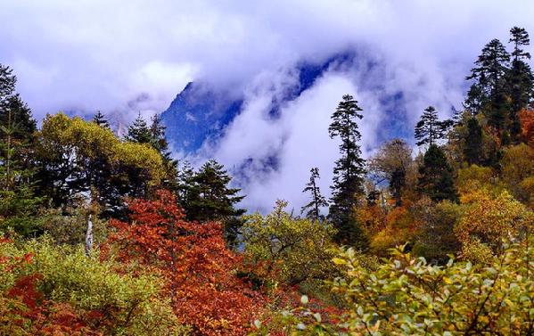 西藏林芝風(fēng)光