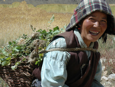 西藏尋找“最美格桑花”