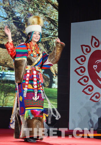 西藏五年來錄用2萬余名公務員