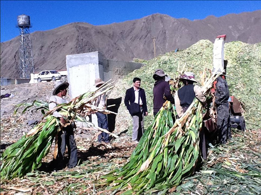 西藏12月啟用科學技術獎勵新辦法