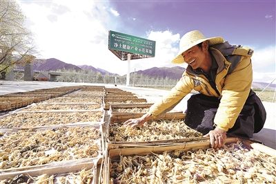 西藏日報盤點2014年拉薩大事記：新面孔