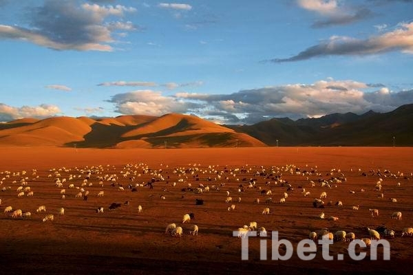 盤點(diǎn)2014：發(fā)現(xiàn)最美西藏之風(fēng)光篇