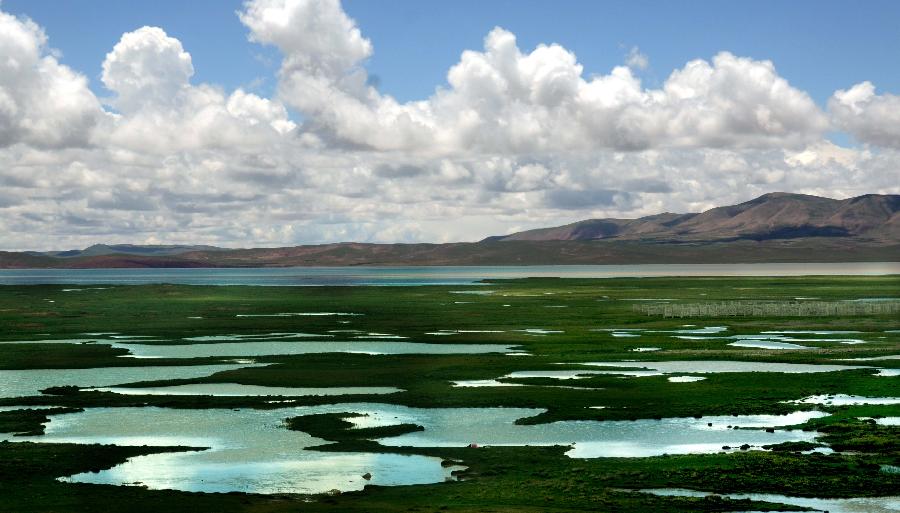 西藏:高原生態系統總體趨好