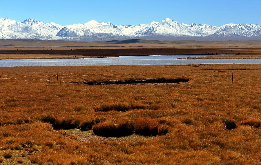 西藏：高原生態系統總體趨好