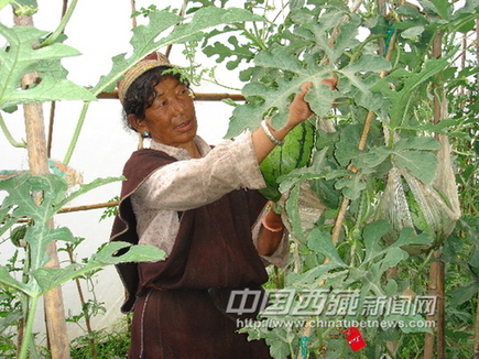 六十載滄桑話巨變 “西藏江南”展新顏