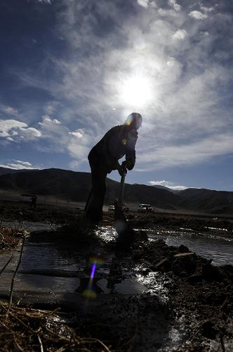 西藏阿里：生態經濟助農牧民增收