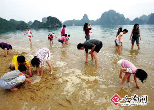 雙向出行游客增多 暑期游升溫飛機火車都滿座