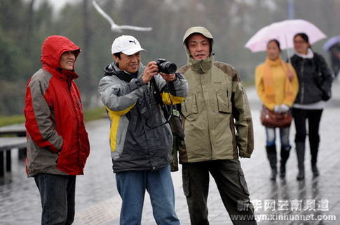 “春城”昆明大幅降溫