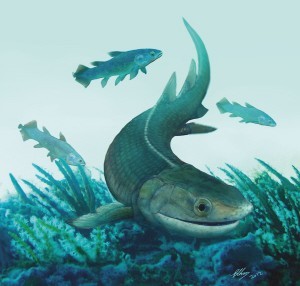 最古老的“四足魚(yú)”化石在云南昭通發(fā)現(xiàn)