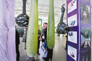 阿里巴巴愿與云南共建展銷平臺(tái)