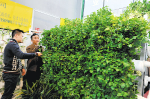 阿里巴巴愿與云南共建展銷平臺(tái)