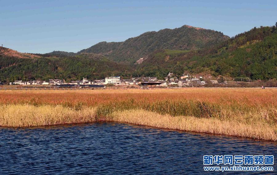 草豐水美的云南北海濕地