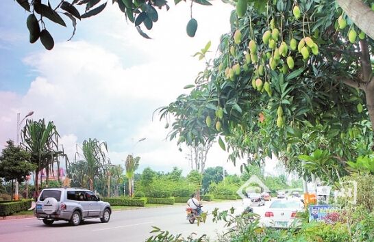 開啟休閑模式 冬季來云南芒市靜享慢時光