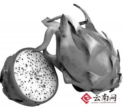 云南電商分享摸爬滾打經驗