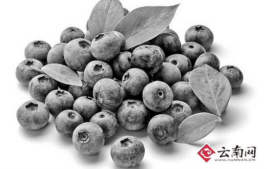 云南電商分享摸爬滾打經驗