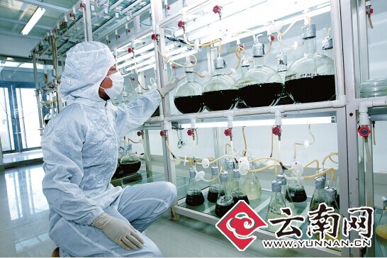 云南省給予重點(diǎn)財力支持助推產(chǎn)業(yè)結(jié)構(gòu)轉(zhuǎn)型升級