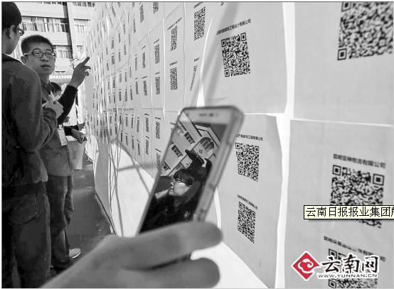 求職神器“雞毛信”APP首現云南省內校園招聘會