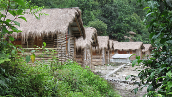 環(huán)境衛(wèi)生提升獨龍江新農(nóng)村建設品質(zhì)