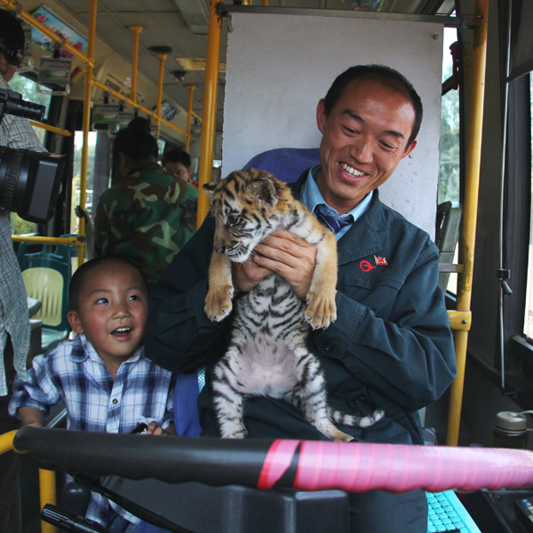 迎接南博會 旅游專線首發云南野生動物園