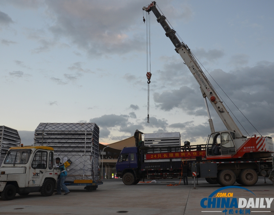 23位南非“高富帥” 昨日長水機場落地