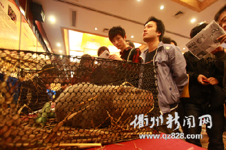 創(chuàng)業(yè)從青年做起 2011衢州創(chuàng)業(yè)文化周啟動(dòng)