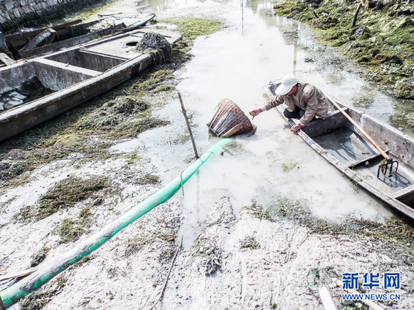 浙江紹興開始整治“牛奶河”