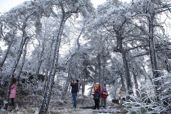 莫干山現霧凇美景