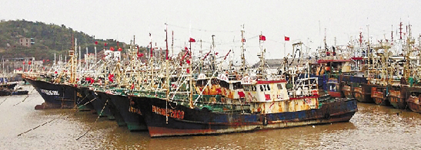 3月伏休 東海漁場(chǎng)面臨無(wú)魚(yú)絕境