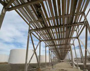 Bush win sends oil near $51 a barrel 