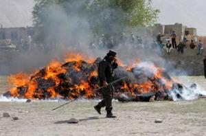 Taliban say killed women poll workers, freed Turk