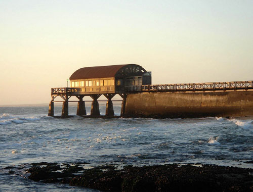 Pitt's biking adventure