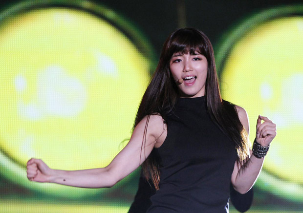 K-pop musicians attend joint concert to expand 'the Korean wave'