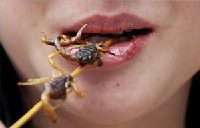Insects, a healthy alternative: report