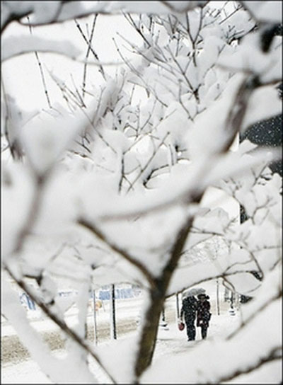 民生百態：美中西部暴風雪下的快樂與痛苦