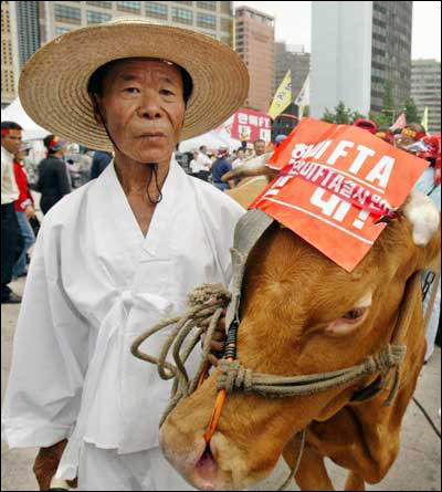 韓農(nóng)民抗議進(jìn)口美國(guó)牛肉