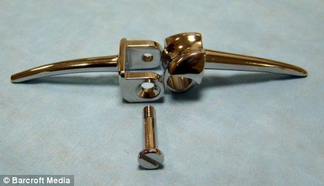 英國小貓遭車禍撞碎腿 安人造膝蓋開世界先河