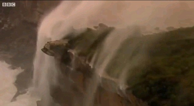 狂風大作瀑布逆流！澳大利亞南部遭遇極端天氣