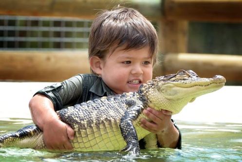 澳大利亞3歲男童同鱷魚(yú)親密嬉水 與蟒蛇為友