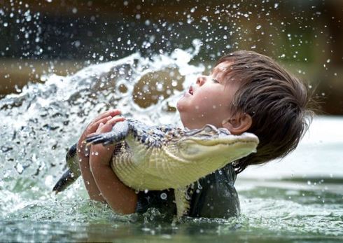 澳大利亞3歲男童同鱷魚(yú)親密嬉水 與蟒蛇為友