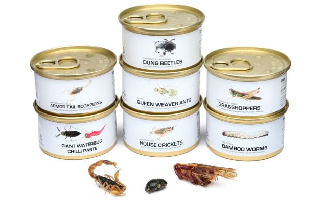 英“昆蟲罐頭”成食客餐桌新寵兒