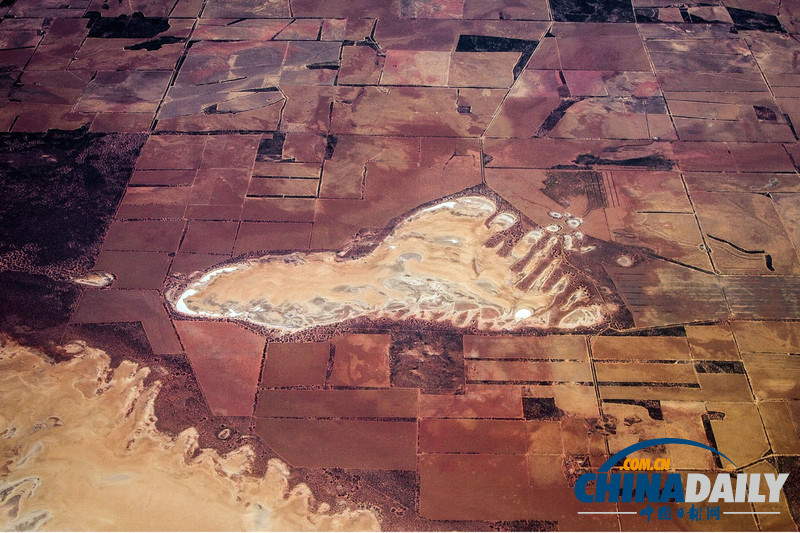 人類精子、上帝足跡 攝影師澳大利亞田野上空拍奇觀