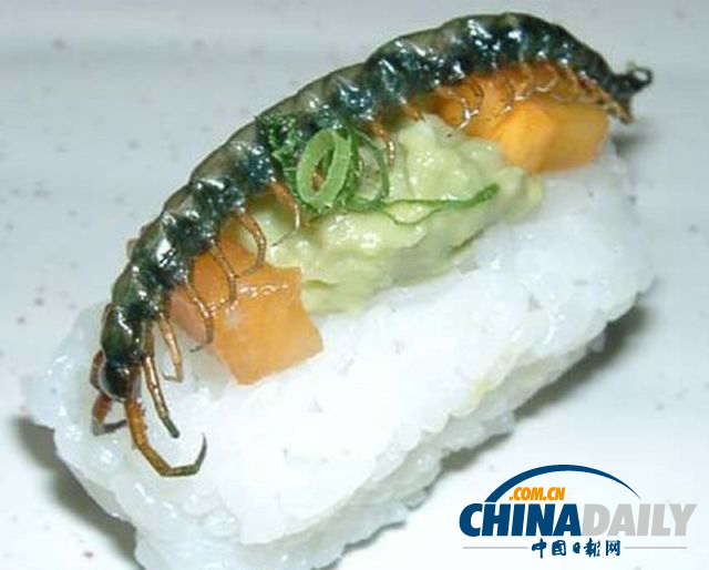 世界各地超級恐怖的蟲子大餐（組圖）
