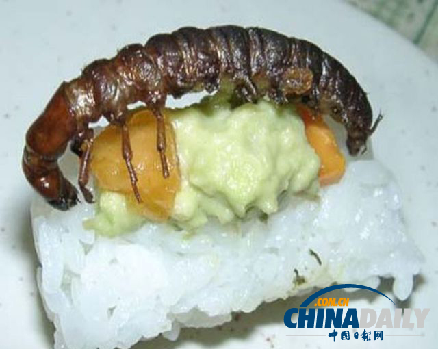 世界各地超級(jí)恐怖的蟲(chóng)子大餐（組圖）